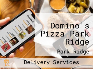 Domino's Pizza Park Ridge