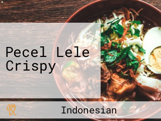 Pecel Lele Crispy