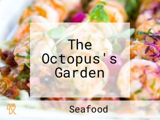 The Octopus's Garden