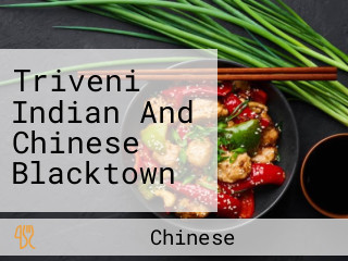 Triveni Indian And Chinese Blacktown