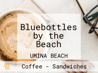 Bluebottles by the Beach