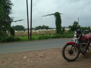 Pakija Cum Tea Stall (lalu)