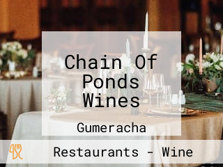 Chain Of Ponds Wines