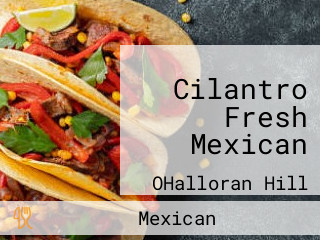 Cilantro Fresh Mexican