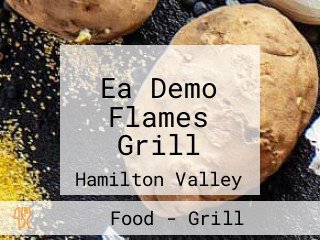 Ea Demo Flames Grill