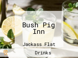 Bush Pig Inn