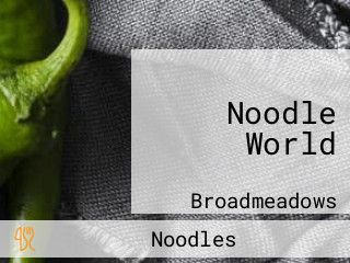 Noodle World