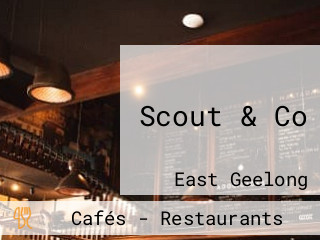 Scout & Co