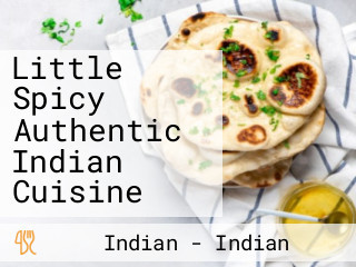 Little Spicy Authentic Indian Cuisine