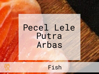 Pecel Lele Putra Arbas