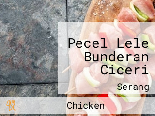 Pecel Lele Bunderan Ciceri