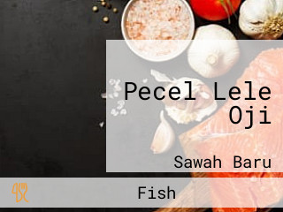 Pecel Lele Oji