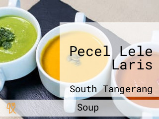 Pecel Lele Laris