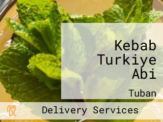 Kebab Turkiye Abi