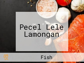 Pecel Lele Lamongan