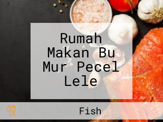 Rumah Makan Bu Mur Pecel Lele