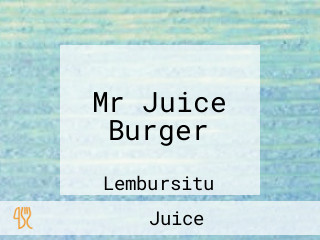 Mr Juice Burger