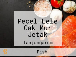 Pecel Lele Cak Mur Jetak