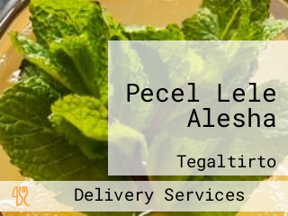 Pecel Lele Alesha