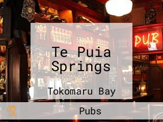 Te Puia Springs