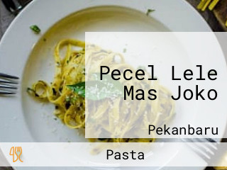 Pecel Lele Mas Joko