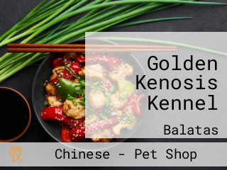 Golden Kenosis Kennel