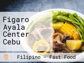 Figaro Ayala Center Cebu