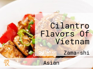 Cilantro Flavors Of Vietnam