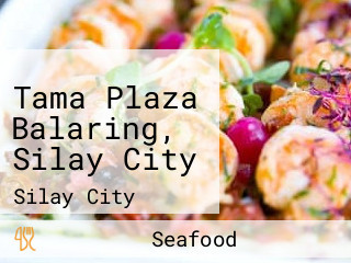 Tama Plaza Balaring, Silay City