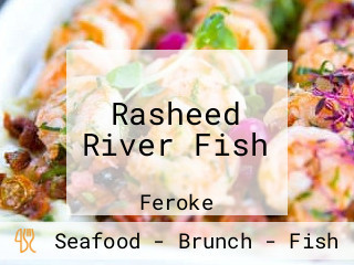 Rasheed River Fish