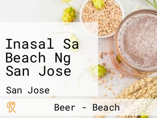 Inasal Sa Beach Ng San Jose