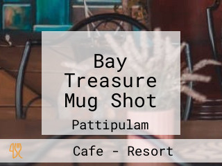 Bay Treasure Mug Shot