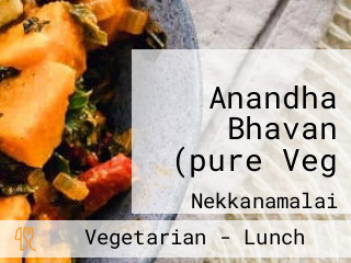 Anandha Bhavan (pure Veg