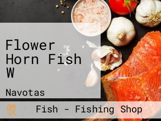 Flower Horn Fish W