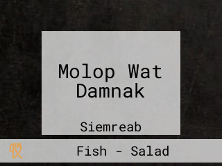 Molop Wat Damnak