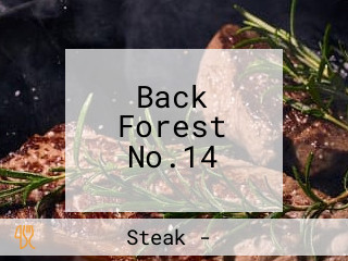 Back Forest No.14