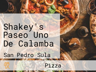 Shakey's Paseo Uno De Calamba