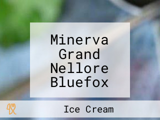 Minerva Grand Nellore Bluefox Restaurent On The Rocks