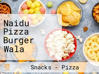 Naidu Pizza Burger Wala