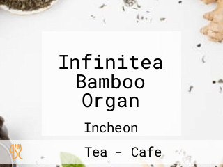 Infinitea Bamboo Organ