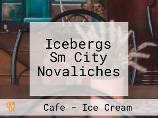 Icebergs Sm City Novaliches