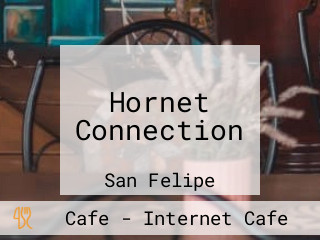 Hornet Connection