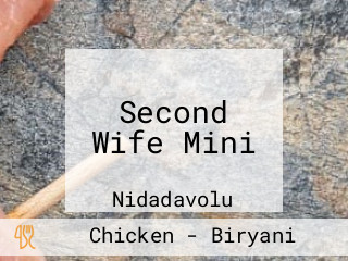 Second Wife Mini