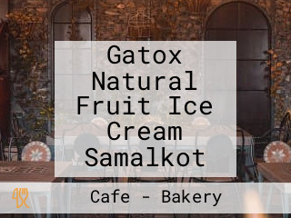 Gatox Natural Fruit Ice Cream Samalkot