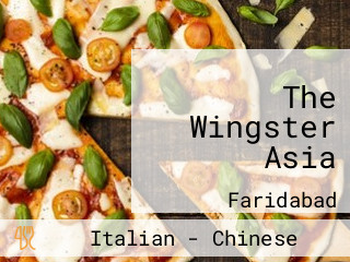 The Wingster Asia