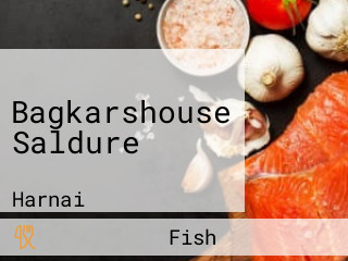 Bagkarshouse Saldure