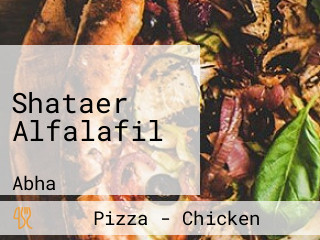 Shataer Alfalafil