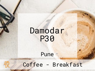 Damodar P30