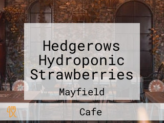 Hedgerows Hydroponic Strawberries