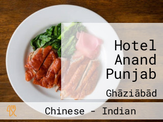 Hotel Anand Punjab